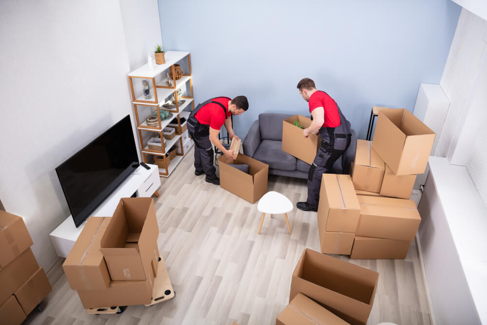 Professional Moving Services in Jacksonville