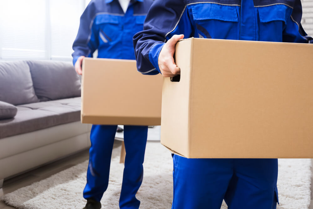 Trenton Appliance Movers