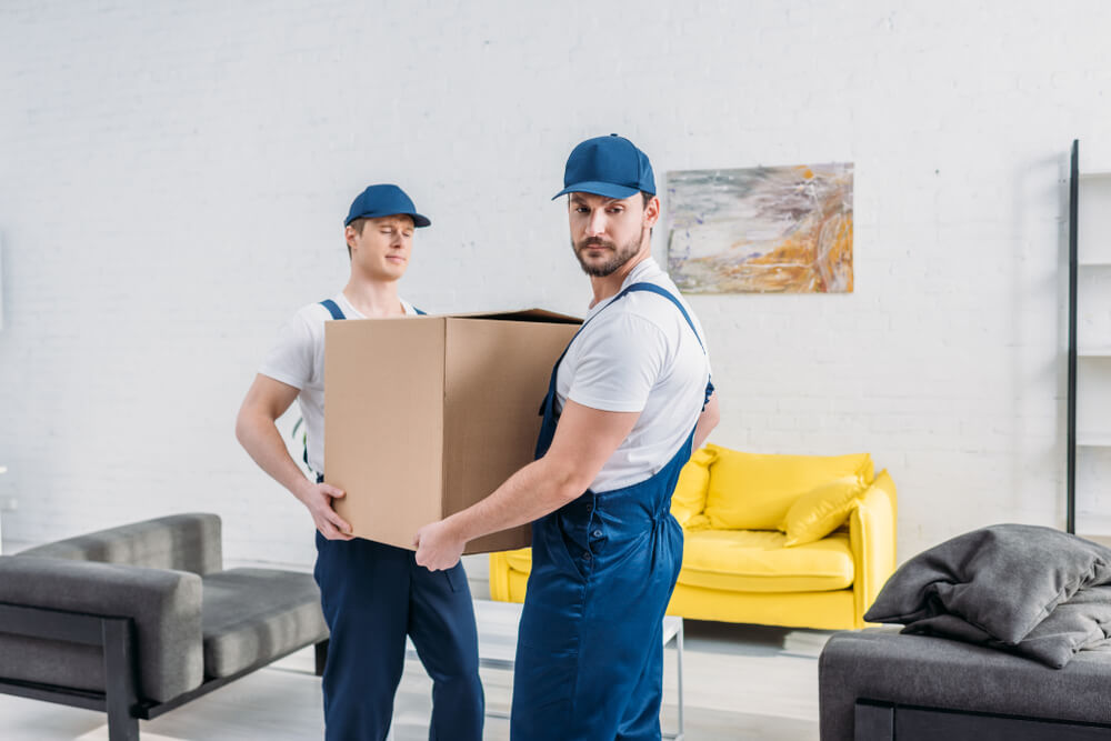 Hire Movers Orange